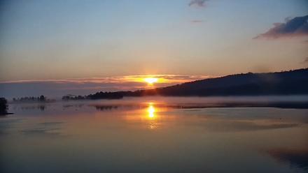 Pennsylvania Snow Geese Live Webcam - Nov 8, 2025, 7:04am EST