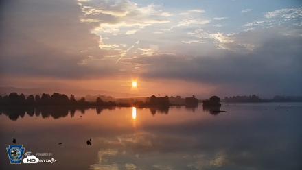 Pennsylvania Snow Geese Live Webcam - Aug 8, 2026, 6:29am EDT