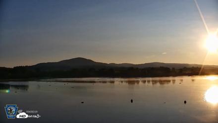 Pennsylvania Snow Geese Live Webcam - Jul 24, 2026, 6:40am EDT