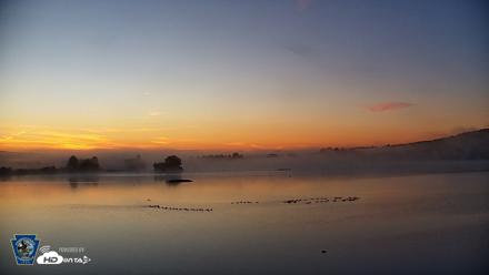 Pennsylvania Snow Geese Live Webcam - Aug 26, 2026, 6:17am EDT