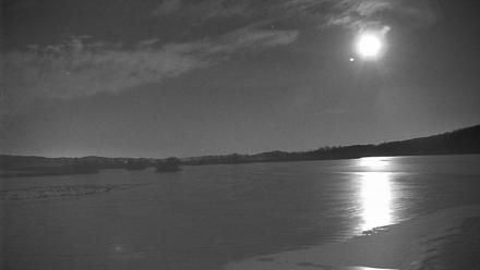 Pennsylvania Snow Geese Live Webcam - Feb 5, 2026, 11:09pm EST