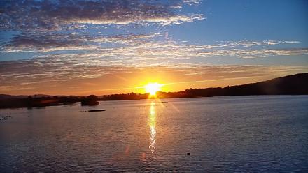 Pennsylvania Snow Geese Live Webcam - Oct 7, 2025, 7:15am EDT