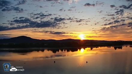 Pennsylvania Snow Geese Live Webcam - Jun 25, 2026, 5:50am EDT