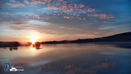 Pennsylvania Snow Geese Live Webcam - Sep 12, 2026, 6:48am EDT