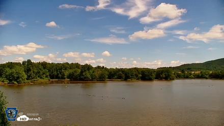 Pennsylvania Snow Geese Live Webcam - Jun 19, 2026, 11:09am EDT