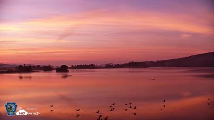 Pennsylvania Snow Geese Live Webcam - Aug 1, 2026, 5:59am EDT