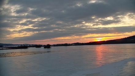 Pennsylvania Snow Geese Live Webcam - Feb 11, 2026, 7:09am EST