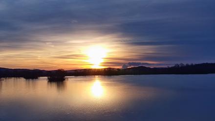 Pennsylvania Snow Geese Live Webcam - Mar 18, 2026, 7:23am EDT