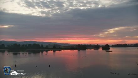 Pennsylvania Snow Geese Live Webcam - Aug 20, 2026, 6:15am EDT