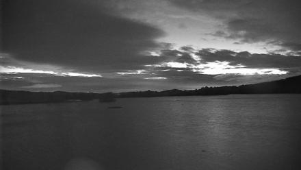 Pennsylvania Snow Geese Live Webcam - Oct 20, 2025, 6:28am EDT