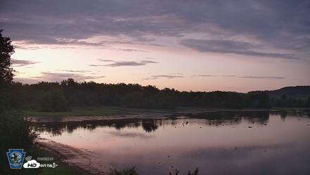 Pennsylvania Snow Geese Live Webcam - Aug 17, 2026, 8:19pm EDT