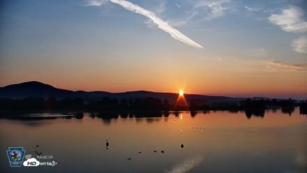 Pennsylvania Snow Geese Live Webcam - Jul 12, 2026, 5:59am EDT
