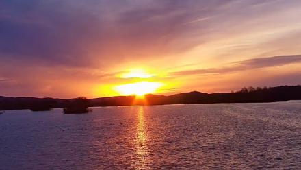 Pennsylvania Snow Geese Live Webcam - Mar 15, 2026, 7:23am EDT