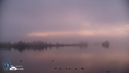 Pennsylvania Snow Geese Live Webcam - Jun 11, 2026, 5:32am EDT