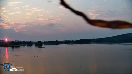Pennsylvania Snow Geese Live Webcam - Aug 14, 2026, 6:25am EDT