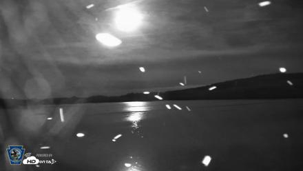 Pennsylvania Snow Geese Live Webcam - Sep 25, 2026, 7:47pm EDT