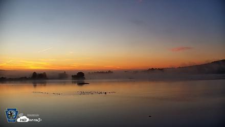 Pennsylvania Snow Geese Live Webcam - Aug 26, 2026, 6:16am EDT