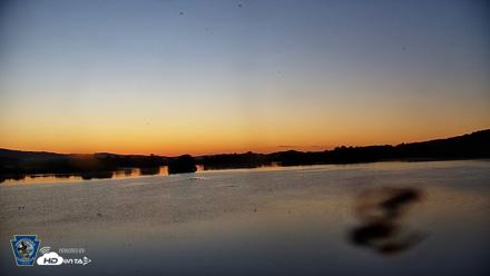 Pennsylvania Snow Geese Live Webcam - Sep 6, 2026, 6:33am EDT