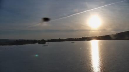 Pennsylvania Snow Geese Live Webcam - Oct 19, 2025, 8:05am EDT