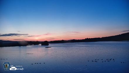 Pennsylvania Snow Geese Live Webcam - Sep 16, 2026, 6:25am EDT