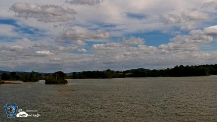 Pennsylvania Snow Geese Live Webcam - Sep 23, 2026, 1:17pm EDT