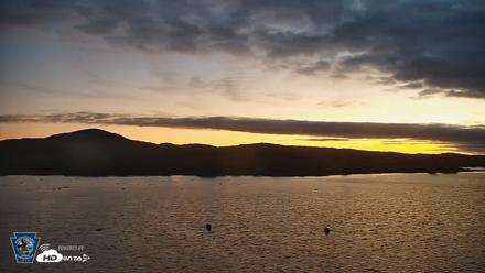 Pennsylvania Snow Geese Live Webcam - Sep 24, 2026, 6:33am EDT