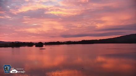 Pennsylvania Snow Geese Live Webcam - Aug 5, 2026, 6:04am EDT
