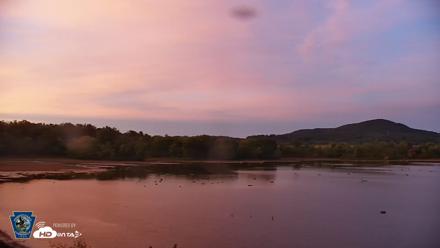Pennsylvania Snow Geese Live Webcam - Sep 25, 2026, 7:06pm EDT