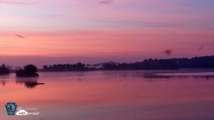 Pennsylvania Snow Geese Live Webcam - Aug 1, 2026, 5:49am EDT