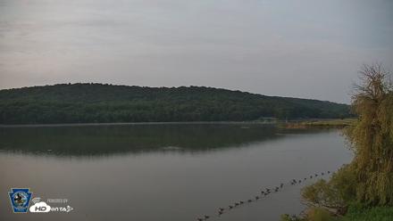 Pennsylvania Snow Geese Live Webcam - Jun 17, 2026, 5:13am EDT