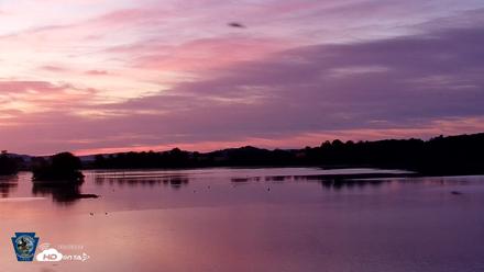 Pennsylvania Snow Geese Live Webcam - Aug 4, 2026, 5:57am EDT