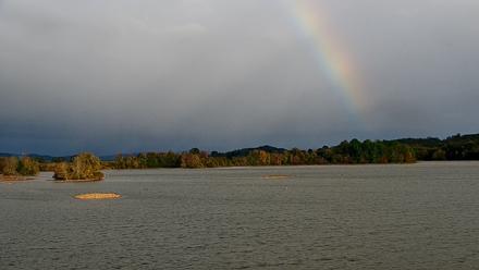 Pennsylvania Snow Geese Live Webcam - Oct 12, 2025, 5:13pm EDT