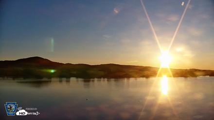 Pennsylvania Snow Geese Live Webcam - May 12, 2026, 6:17am EDT