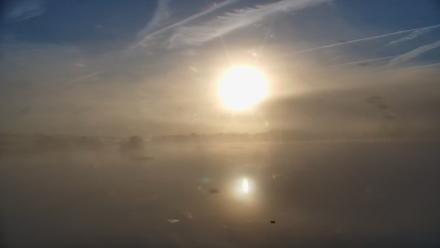 Pennsylvania Snow Geese Live Webcam - Oct 3, 2025, 7:41am EDT