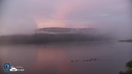 Pennsylvania Snow Geese Live Webcam - Jun 11, 2026, 5:30am EDT