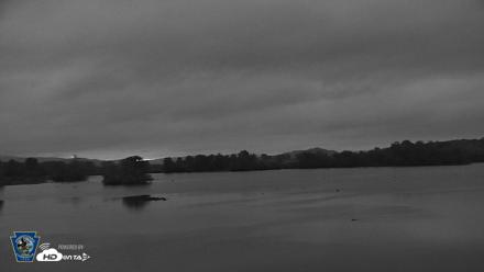 Pennsylvania Snow Geese Live Webcam - Oct 12, 2026, 6:48am EDT