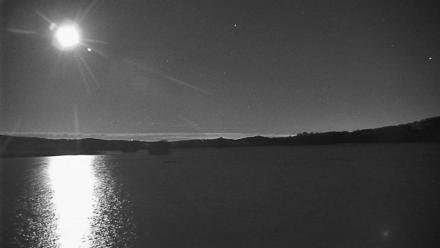 Pennsylvania Snow Geese Live Webcam - Nov 10, 2025, 11:27pm EST