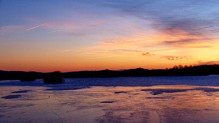 Pennsylvania Snow Geese Live Webcam - Dec 20, 2025, 7:16am EST
