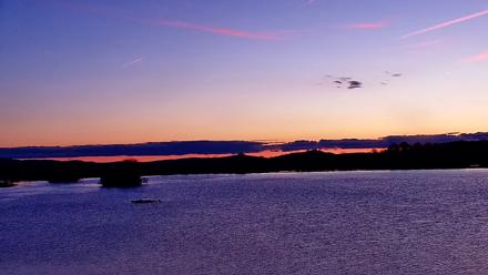 Pennsylvania Snow Geese Live Webcam - Nov 14, 2025, 6:35am EST