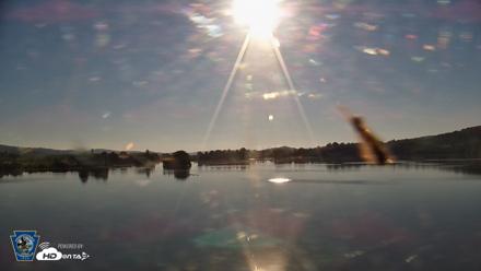 Pennsylvania Snow Geese Live Webcam - Sep 6, 2026, 8:14am EDT