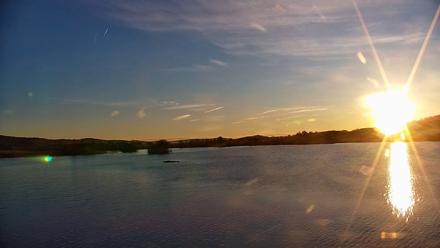 Pennsylvania Snow Geese Live Webcam - Nov 14, 2025, 7:15am EST