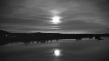 Pennsylvania Snow Geese Live Webcam - Nov 6, 2025, 6:32pm EST