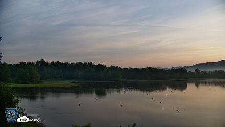 Pennsylvania Snow Geese Live Webcam - Aug 1, 2026, 6:29am EDT