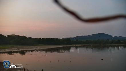 Pennsylvania Snow Geese Live Webcam - Aug 14, 2026, 8:17pm EDT