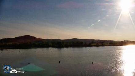Pennsylvania Snow Geese Live Webcam - Jul 23, 2026, 7:29am EDT