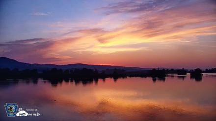 Pennsylvania Snow Geese Live Webcam - May 19, 2026, 5:44am EDT