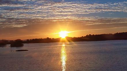 Pennsylvania Snow Geese Live Webcam - Oct 7, 2025, 7:17am EDT