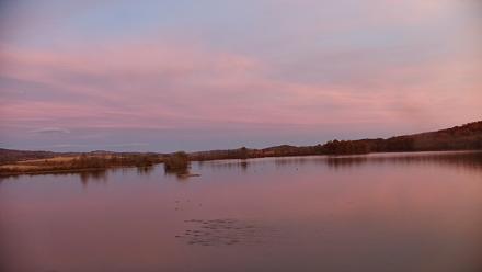 Pennsylvania Snow Geese Live Webcam - Nov 6, 2025, 5:03pm EST