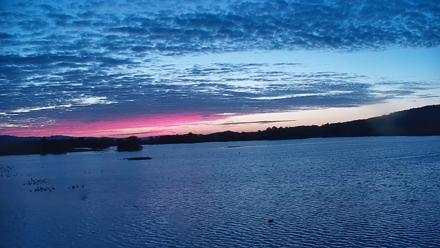 Pennsylvania Snow Geese Live Webcam - Oct 7, 2025, 6:50am EDT