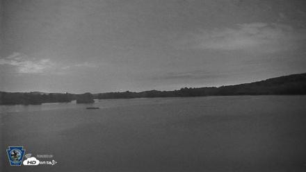 Pennsylvania Snow Geese Live Webcam - Jul 22, 2026, 9:55pm EDT